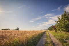 lgd_dolina raby (22)