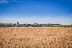 lgd_dolina raby (23)