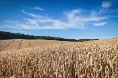 lgd_dolina raby (24)