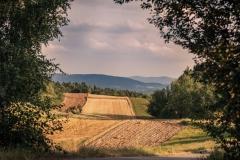 lgd_dolina raby (36)